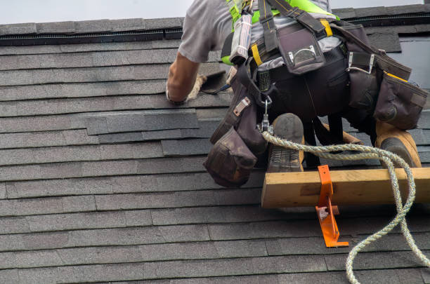 Best Roof Gutter Cleaning  in Scissors, TX